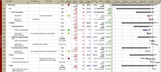 Fig. 2 PMO_Tracking Gantt screen shot