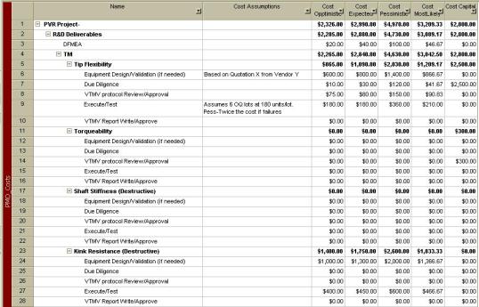 Fig. 1 Microsoft Project template PMO Costs screen shot
