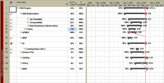 Fig. 3 Microsoft Project template PMO Progress Rollup-Report screen shot