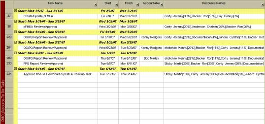 Fig. 1 Microsoft Project template Resource-To Do Tasks screen shot