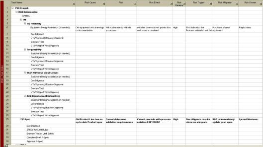 Fig. 4 Microsoft Project template PMO Task Risks screen shot