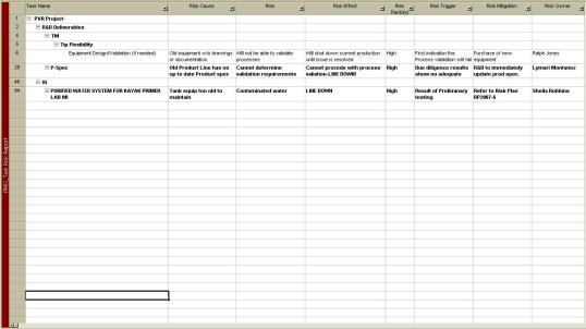 Fig. 5 Microsoft Project template PMO Task Risks Report screen shot